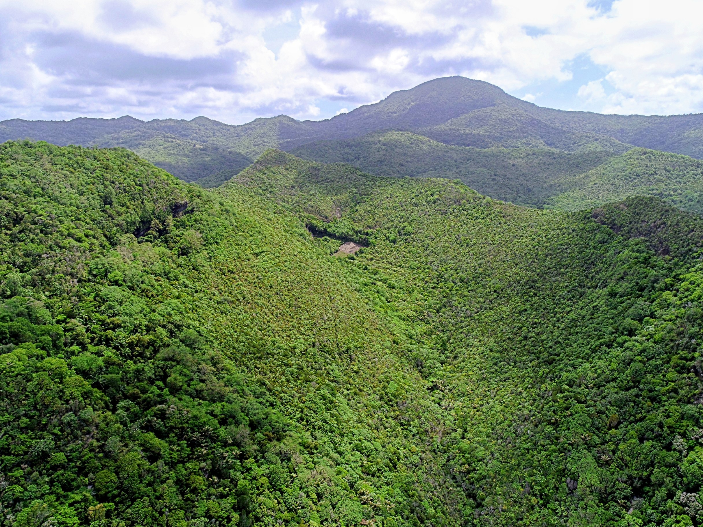 land-north-of-louvet-292